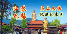 乳头网站逼江苏无锡灵山大佛旅游风景区
