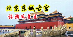 比比资源乱伦强奸电影中国北京-东城古宫旅游风景区